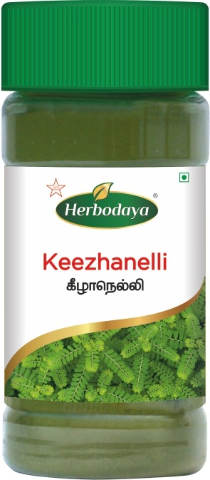 Kizhanelli Powder 50gm